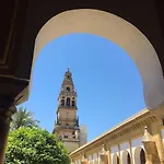 Geysotur Zoco
