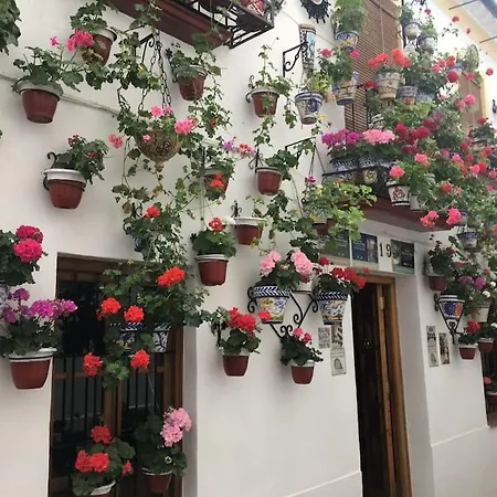 Zoco Cordoba