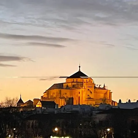 Geysotur Zoco Διαμέρισμα *