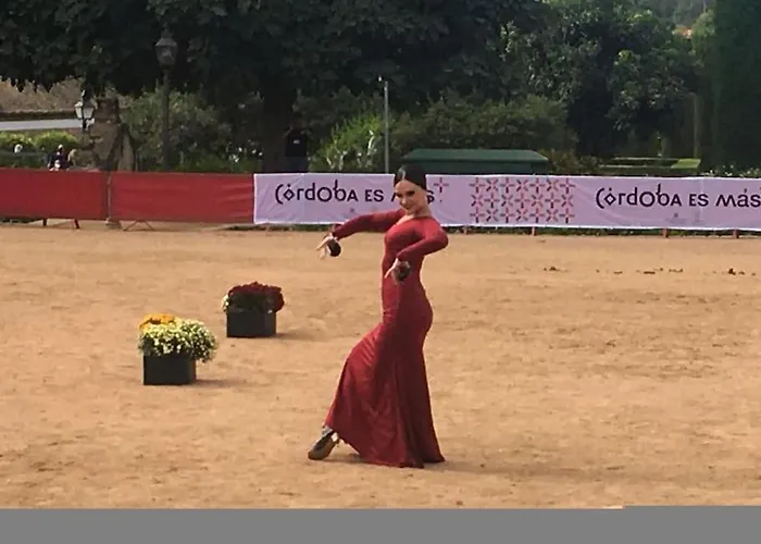 Geysotur Zoco * 科爾多瓦