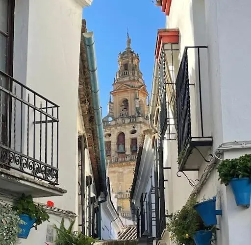 Geysotur Zoco 公寓